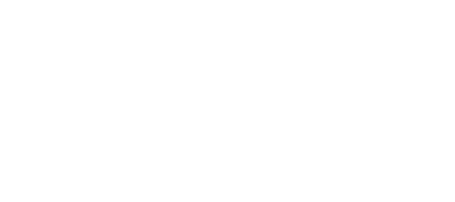 Strasser Media Group